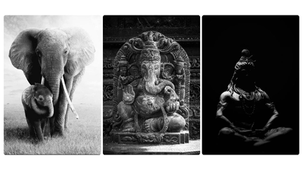 Advance Charcoal Drawing Course