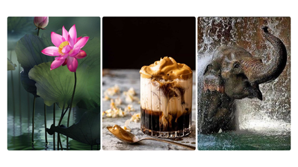 Advance Watercolor Course